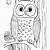 coloring pictures of owl