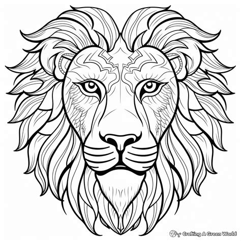 Coloring Book Lion Face