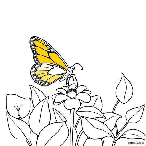 Coloring Books Trend