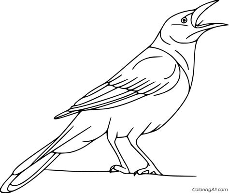 coloring page of a crow