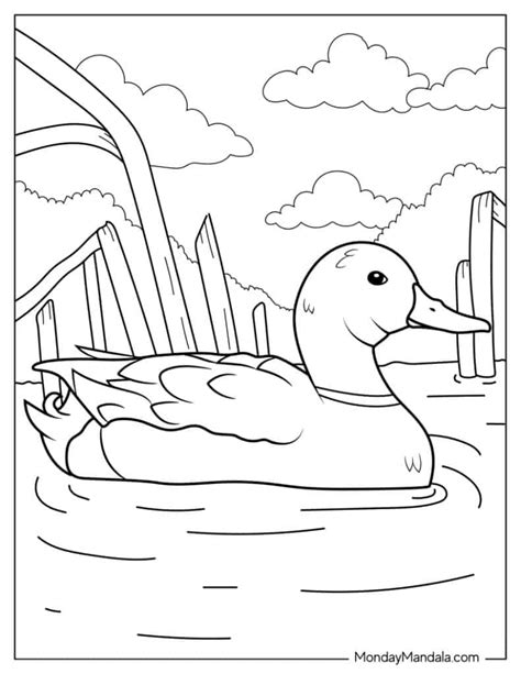 Coloring Page Of Ducks