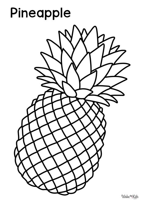 Coloring Pages - Pineapple