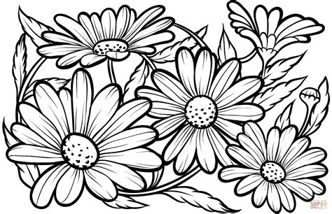 Coloring Pages Daisies