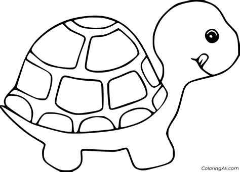 Coloring Pages Of Tortoise