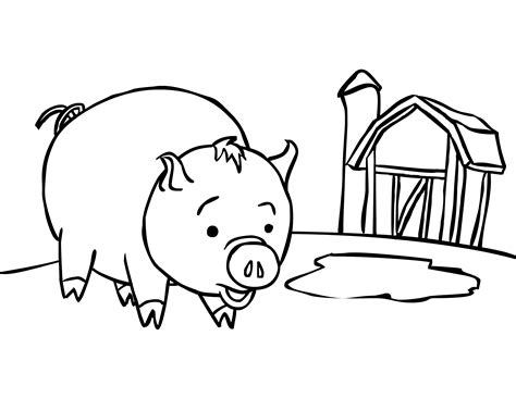 coloring pages pig printable template