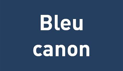 coloris bleu anthracite / canon