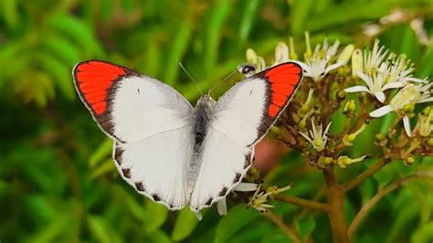 colorsofautumn erone