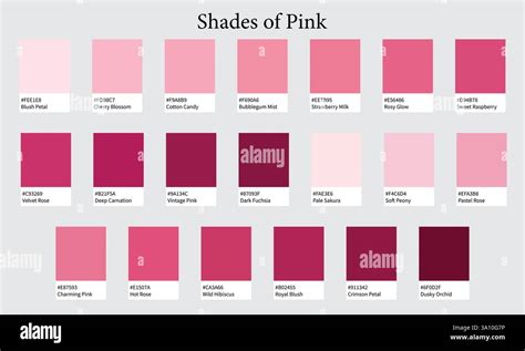 Popular Colour Pink Names for 2023: Discover Trends!