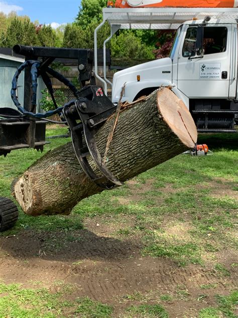 columbia tree service