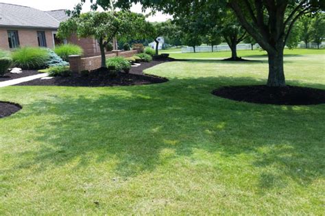 columbus ga landscaping and tree service