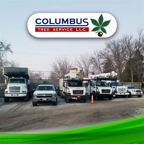 columbus tree services llc reviews