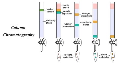 Column Chromatography In Analysis