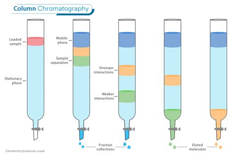 Column Chromatography Is Types Of