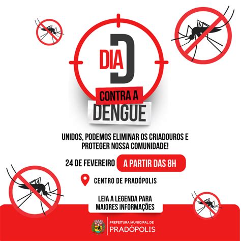combate a dengue 2024