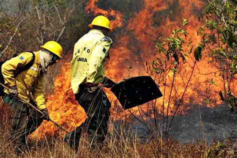 combate a incêndios florestais