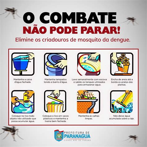 combate mosquito da dengue