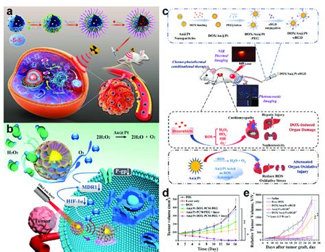Combination Therapy Functions