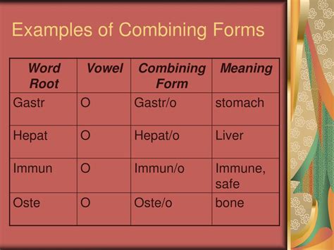 ⛔ Combining form for muscle. Medical Word Parts Forms). 2019