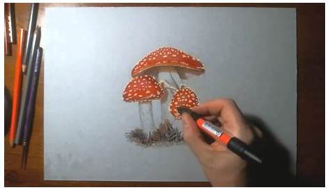 45 Disegni di Funghi da Colorare