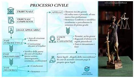 Pdf Schema Processo civile - Docsity