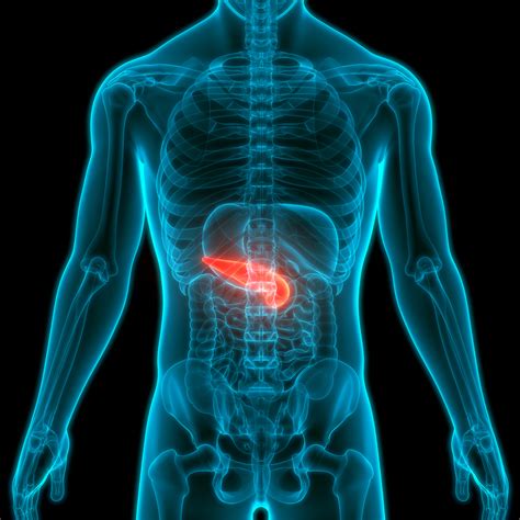 come scoprire il tumore al pancreas