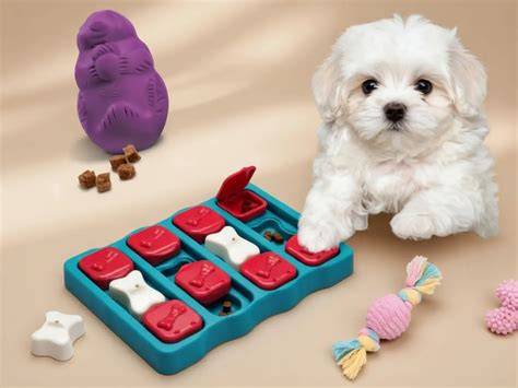 Comedero automático para perros Producan 15 kilos (40 litros) 12voltios