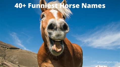 comedy horse names race night