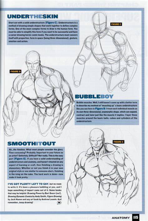 Comic art anatomy