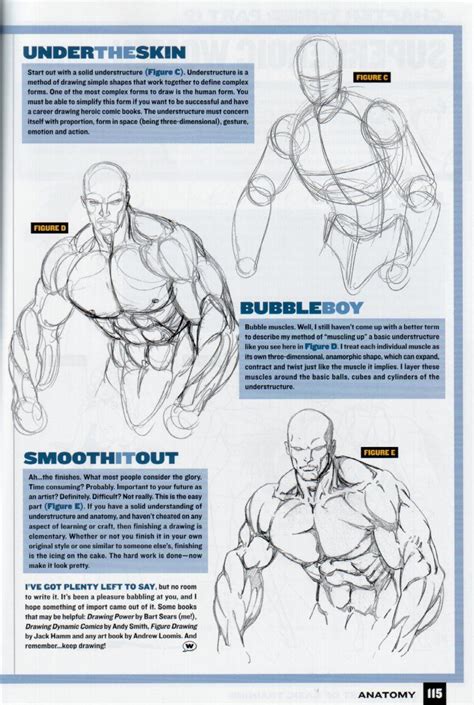 Comic Drawing Anatomy