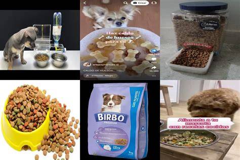 Mejores Comida Para Perros Barata Los 5 Primeros.