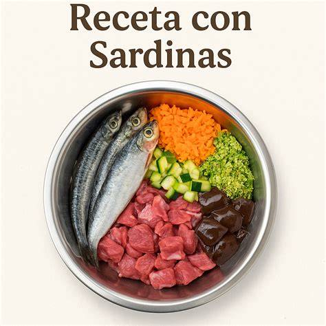 Recetas Dieta Barf Para Perros Perros La alimentación animal