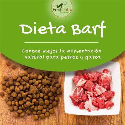 Comida deshidratada para perros ¿es buena y
