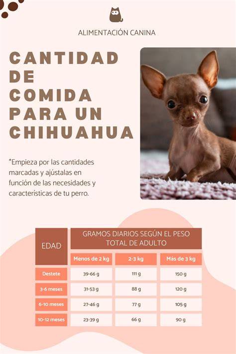 Nutrición para perros Smylepets