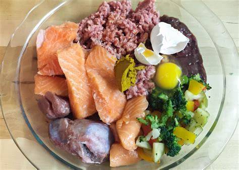 Dieta BARF para perros ¿Qué es? ¿Cuáles son sus beneficios?