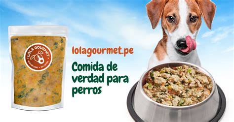 Alimentar a mis perros con comida casera ¿Cuáles son los resultados que