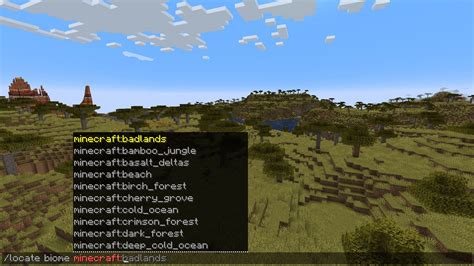 Command In Minecraft To Find Biome