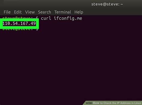 command to check public ip address in linux