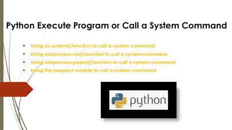 command to execute python script