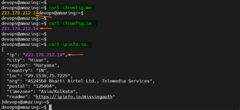 command to get public ip in linux