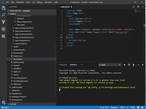 command to run angular project in visual studio code terminal
