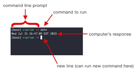 commands in computer programming