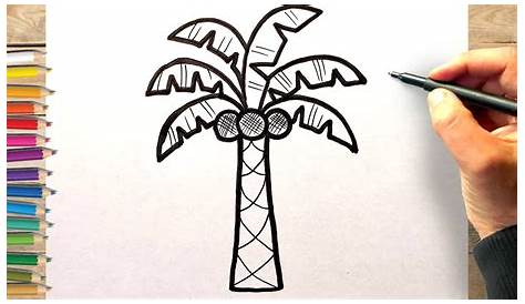 Comment dessiner une feuille de palmier