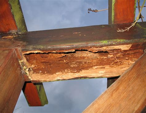 Réparation d’une poutre en bois par stratification epoxy Grange Foraine