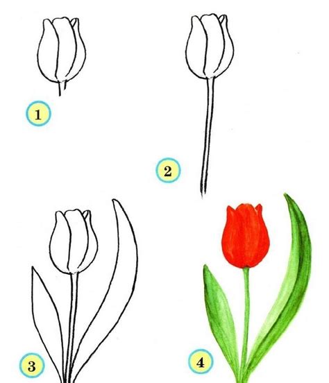 comment dessiner des fleurs faciles
