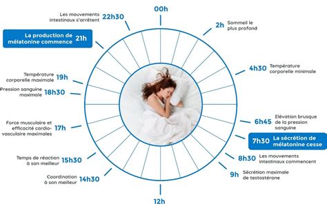 comment fonctionne le sommeil