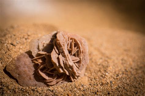 comment se forme la rose des sables