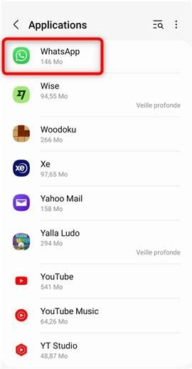 Comment Vider WhatsApp