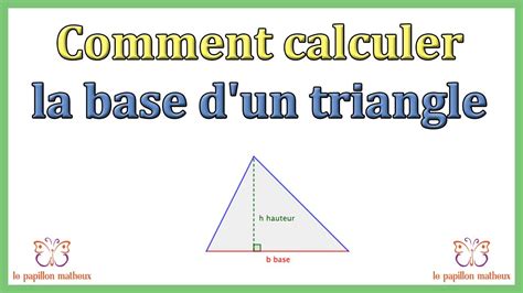 Base of a Triangle Definition, Formulas