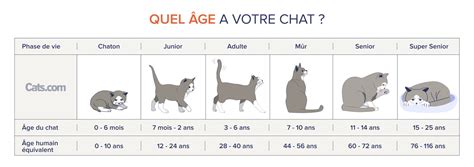 Comment déterminer l