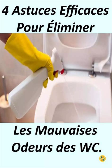 Dites adieu à l’odeur de pipi Voici comment enlever l’odeur d’urine dans les toilettes à l